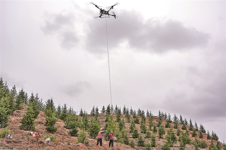 无人机助力荒山植树造林