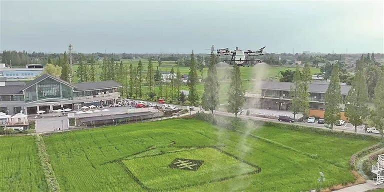 四川成都青白江区弥牟镇狮子村：田间智慧耕耘 村里业态兴旺