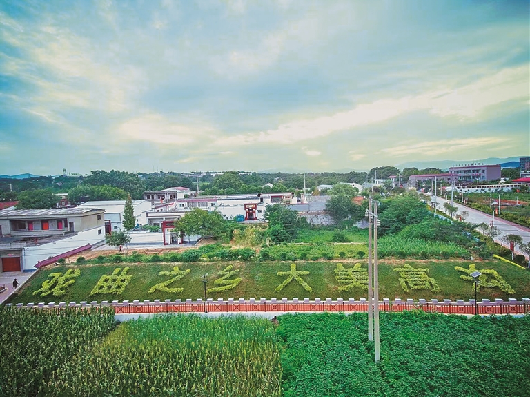 河南郑州新密市城关镇高沟村：前院锣鼓铿锵 后院墨韵流淌