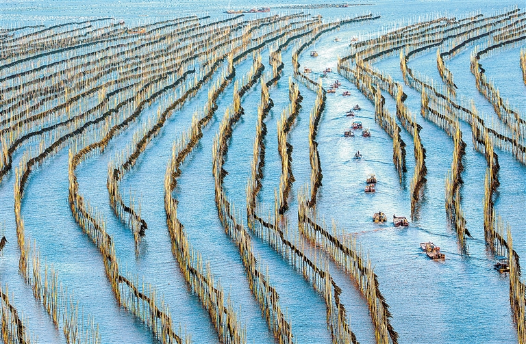 光影中的霞浦滩涂
