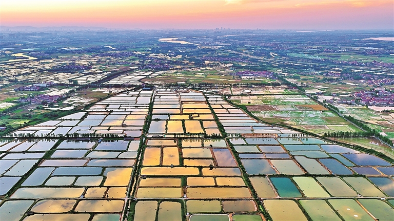 【大美中国】水润田园