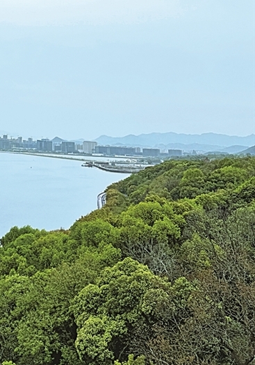 游杭州，阅千年吴越风华