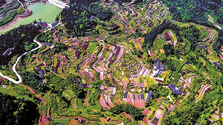 重庆市江津区杜市镇湘萍村:花木芬芳乐农家 重庆市江津区杜市镇湘萍村:花木芬芳乐农家