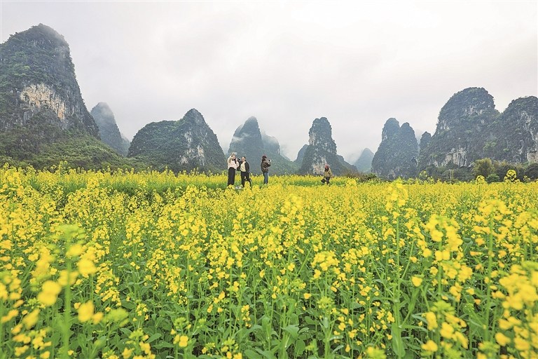 当文旅遇上课本里的名胜 当文旅遇上课本里的名胜