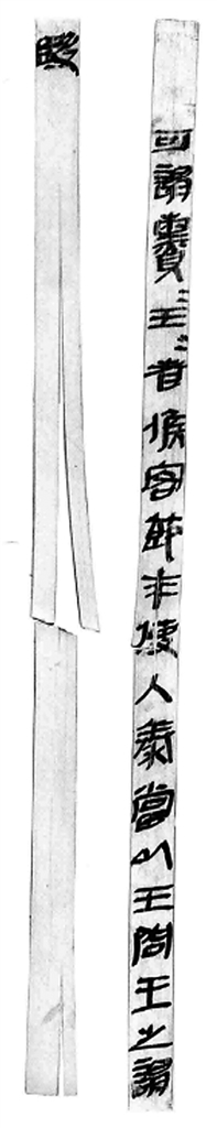 始皇遣使与臣翳身份考