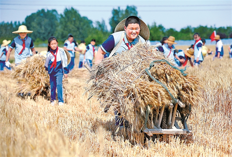 如何让孩子们更好直面未来——对我国职业启蒙教育现状的调查与思考