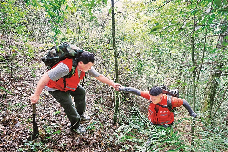 生态为基 向绿而行——看贵州铜仁如何筑牢生态安全屏障 生态为基 向绿而行——看贵州铜仁如何筑牢生态安全屏障