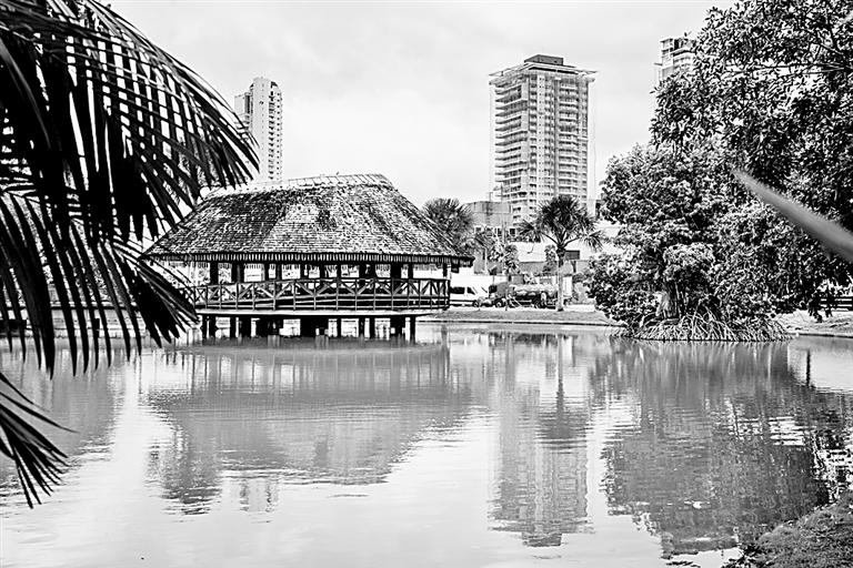 扎根现实的教育学——保罗·弗莱雷与拉丁美洲教育的发展 扎根现实的教育学——保罗·弗莱雷与拉丁美洲教育的发展