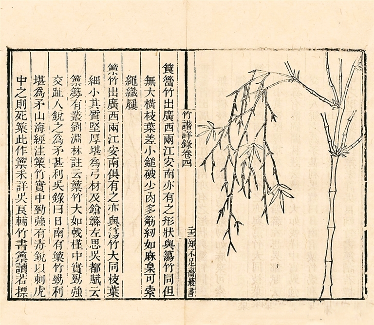 《竹谱详录》