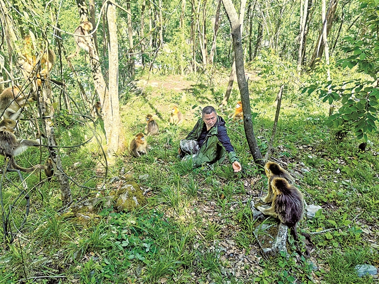 千里山水见证万物共生 千里山水见证万物共生