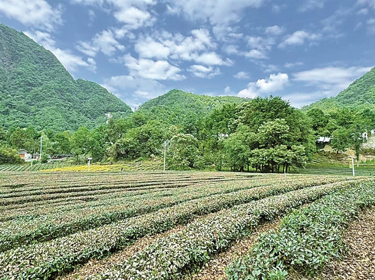 千里山水见证万物共生 千里山水见证万物共生