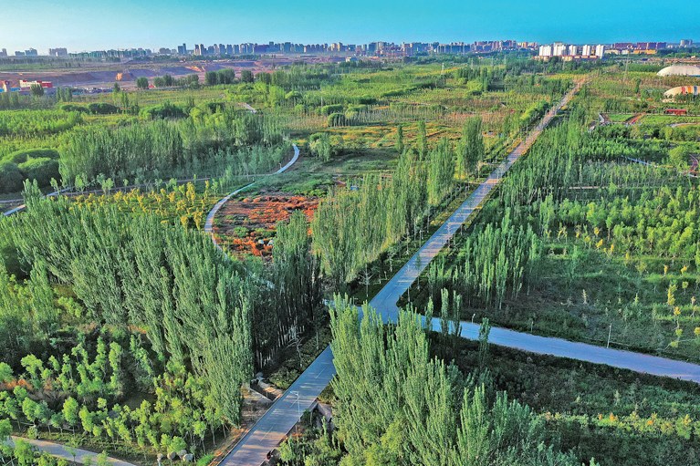 40年接力治沙植绿——柯柯牙,荒原上的绿色奇迹 40年接力治沙植绿——柯柯牙,荒原上的绿色奇迹