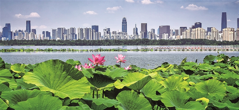 【大美中国】碧水长天入画来