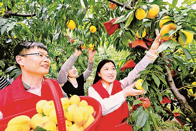 担当,铁肩扛重任 担当,铁肩扛重任