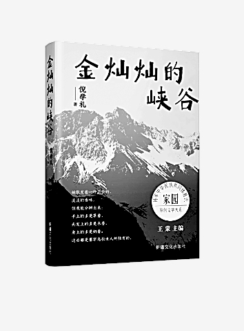 舒缓的叙事见深情 舒缓的叙事见深情