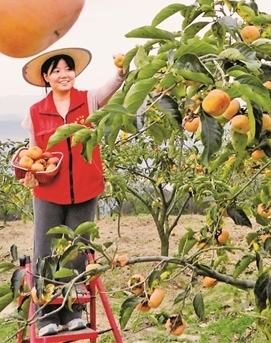 【牢记初心使命 奋进复兴征程】实干，一步一脚印
