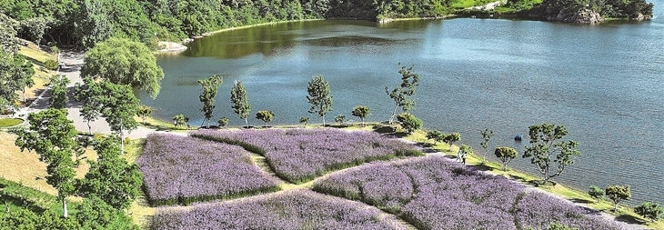 花香弥漫