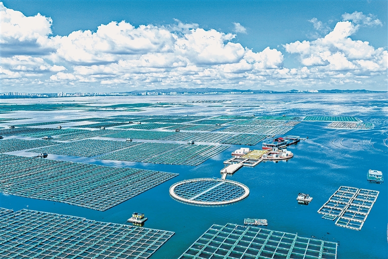 【美丽中国行】耕海牧渔,又是一年丰收时 【美丽中国行】耕海牧渔,又是一年丰收时