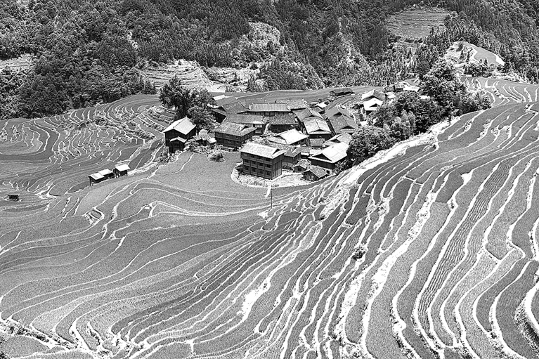 梯田美景