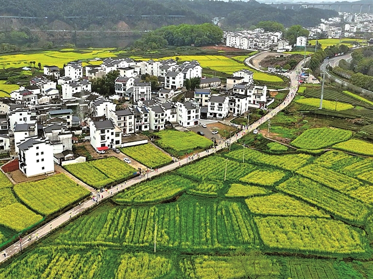 江西上饶婺源县：“村跑”，跑上和美乡村健康路