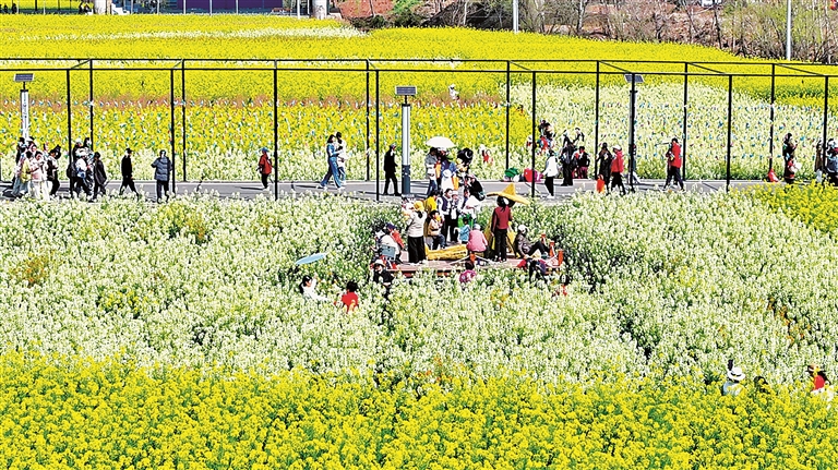 四川省凉山州会东县姜州镇中和村:文旅生金日子美 四川省凉山州会东县姜州镇中和村:文旅生金日子美