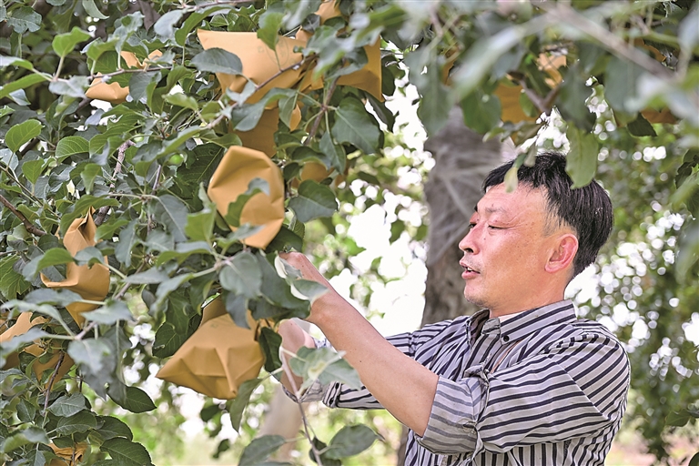 荒坡披绿 山河焕彩——我国水土保持工作取得显著成效