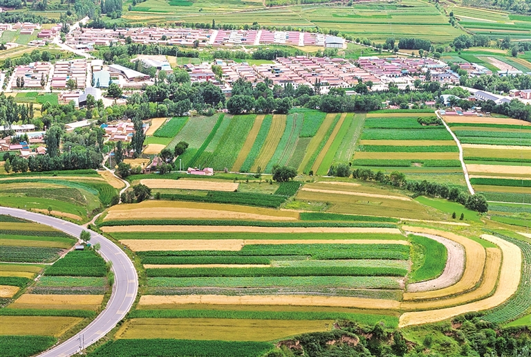 宜居乡村