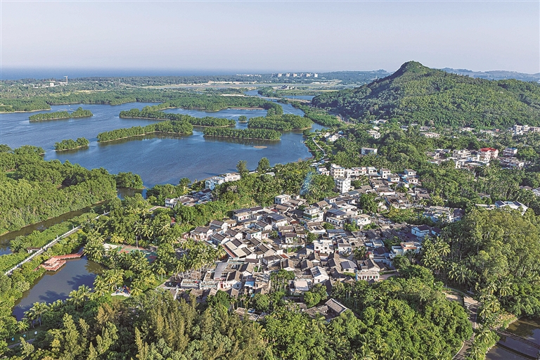 【大美中国】和美乡村