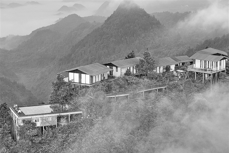 夏日好光景