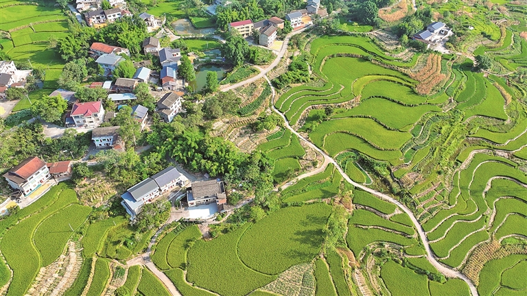 乡村好景