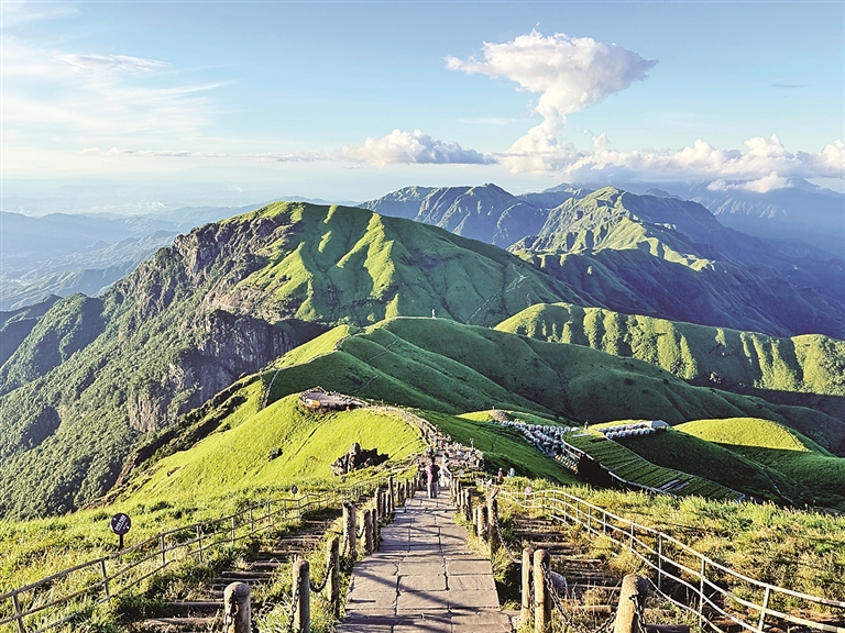 【大美中国】高山草甸景如画
