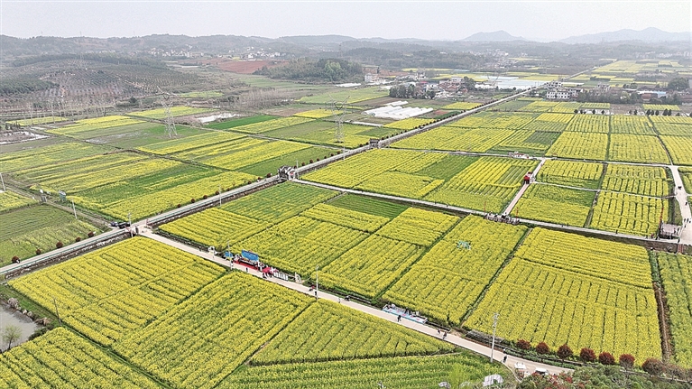 这些诗,从地里“长”出来 这些诗,从地里“长”出来