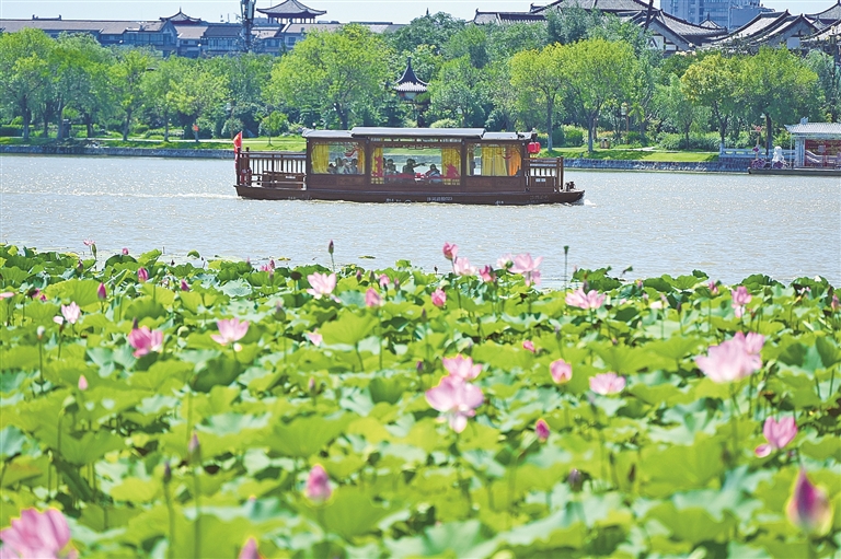 【大美中国】画船撑入花深处