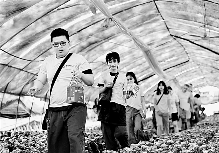 以育人实绩答好“教育强国、高校何为”时代命题 以育人实绩答好“教育强国、高校何为”时代命题