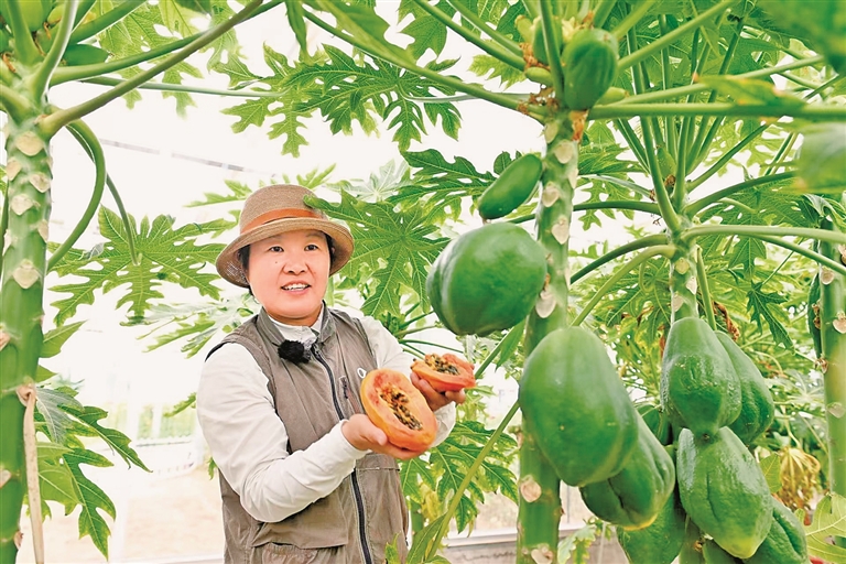 北疆大地绽放巾帼芳华——内蒙古各族妇女绘就生态文旅共富新画卷