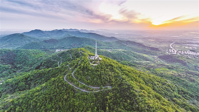 江苏南京：在萤光点点间守护“夏夜精灵”
