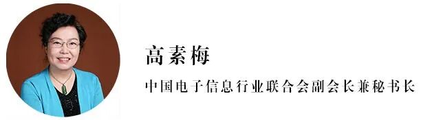 中国电子报刊登高素梅署名文章:二十八载筑展笃行 软博会见证中国软件产业智启新程