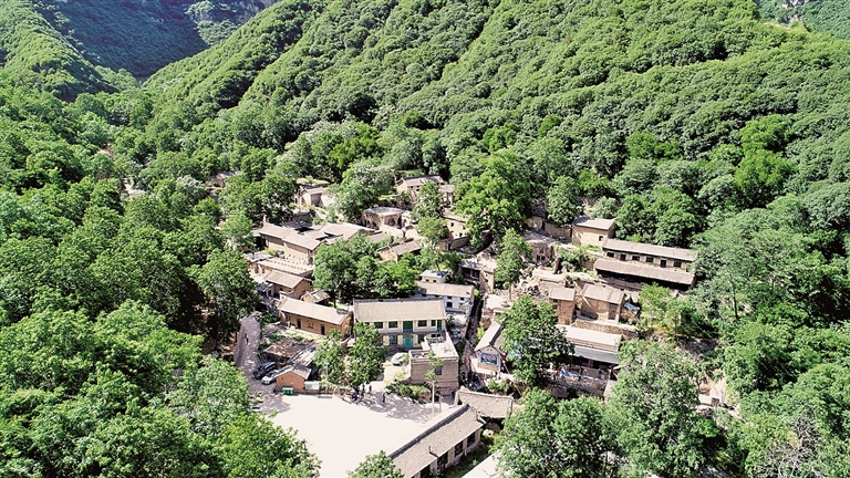 山西稷山县西社镇马家沟村:盘活家底,“长”出新产业 山西稷山县西社镇马家沟村:盘活家底,“长”出新产业