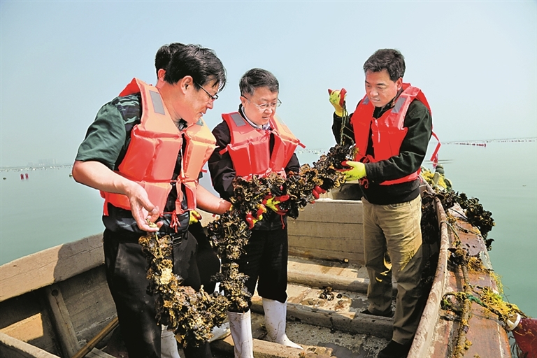 蓝色种子 逐浪生长——我国“蓝色种业”发展情况调查 蓝色种子 逐浪生长——我国“蓝色种业”发展情况调查