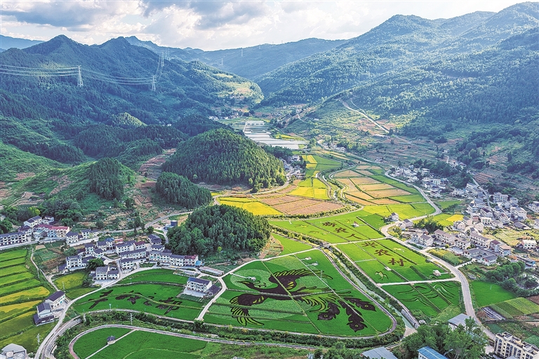 【大美中国】和美乡村