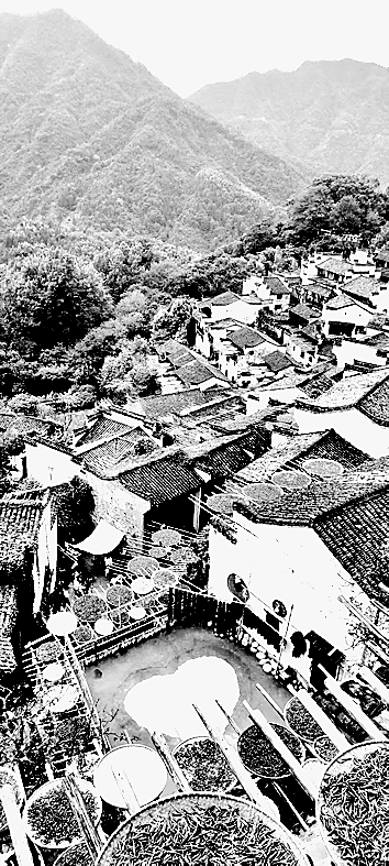 青砖黛瓦间，乡愁如何安放——传统村落保护三问的答题探索