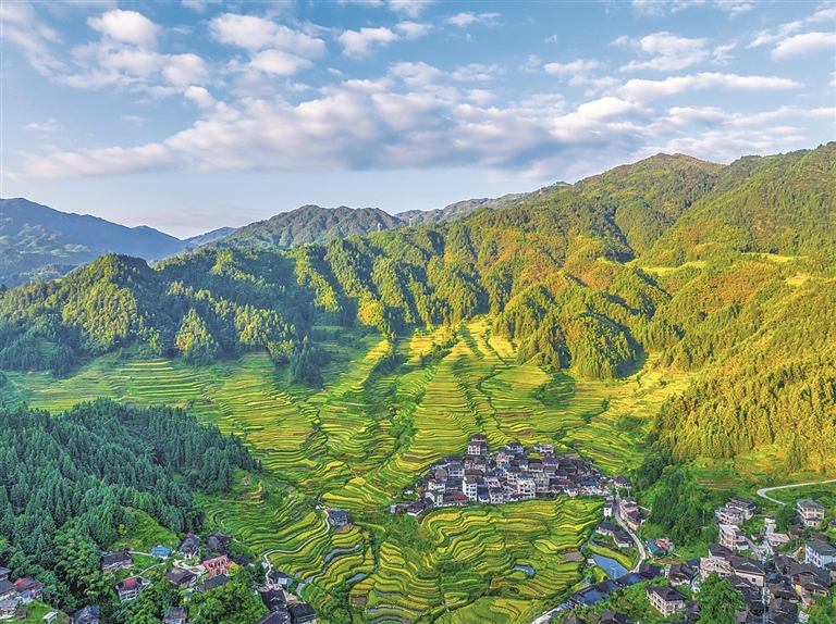高山梯田