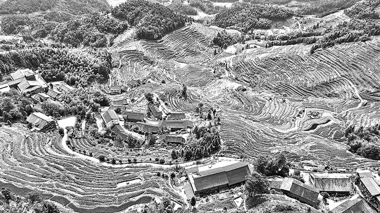 梯田入画来 梯田入画来