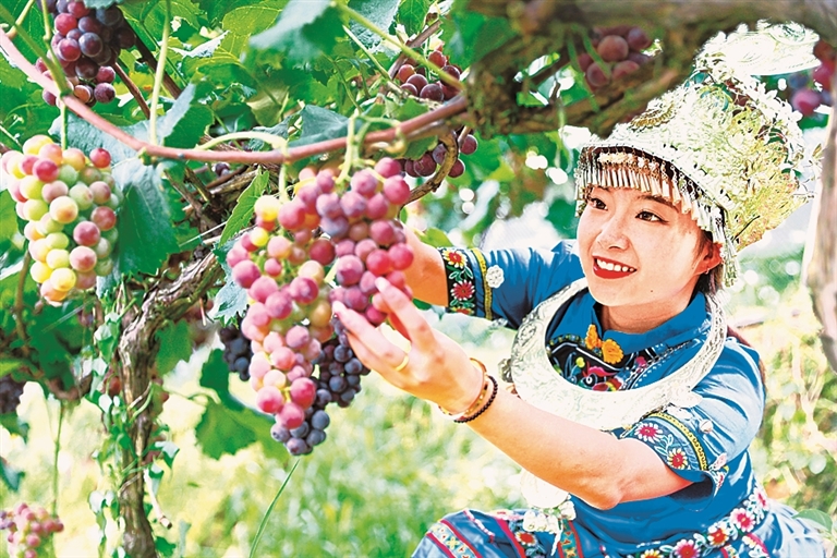 绿染巴渝绘金卷——重庆分域探索生态价值转化新途径