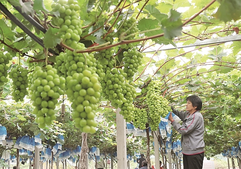 【我在现场】图片报道