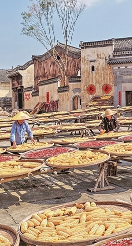 图片报道