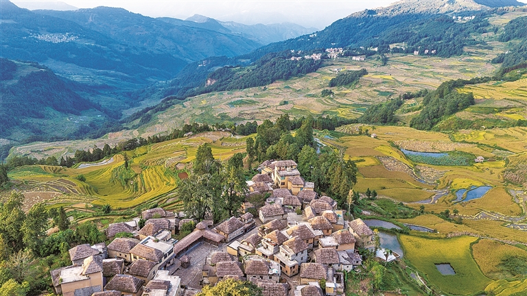 【大美中国】梯田秋景