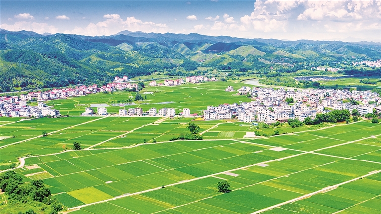 江西省大余县池江镇兰溪村:产业强村,走上共富路 江西省大余县池江镇兰溪村:产业强村,走上共富路