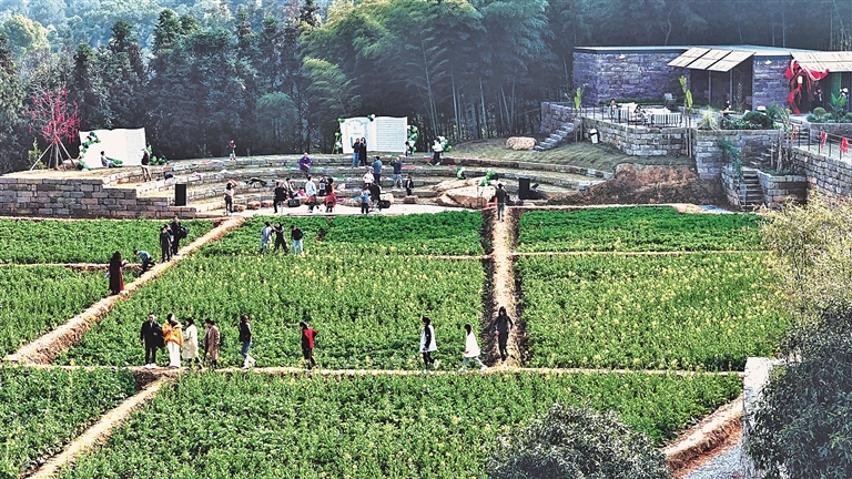 重庆市高新区曾家镇虎峰山村:艺术赋能,助推多业兴 重庆市高新区曾家镇虎峰山村:艺术赋能,助推多业兴