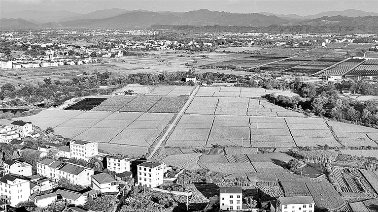 田园风光